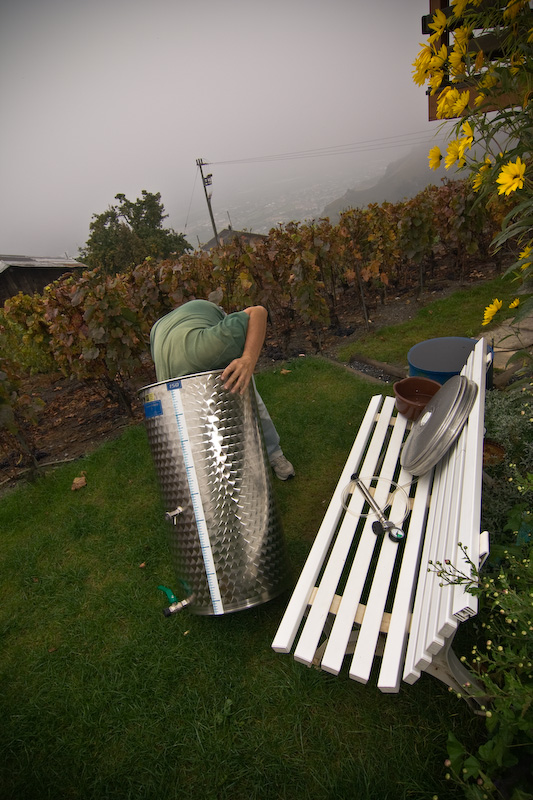 Vendanges