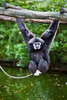 Zoo d'Amnéville